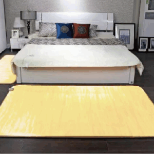 資產 1 遠紅外線發熱毯(大)